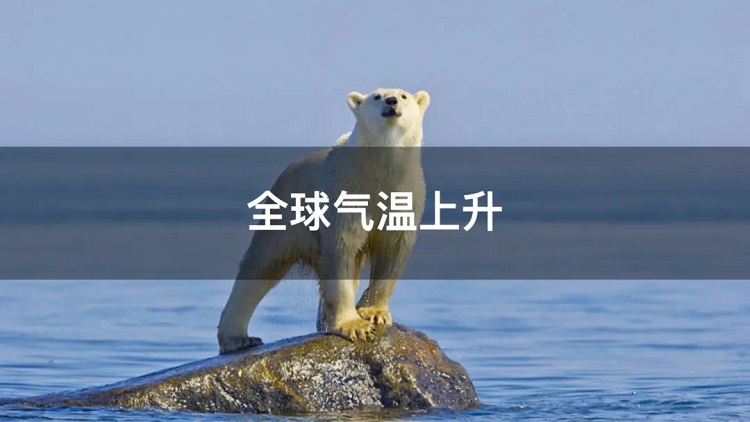 螞蟻商聯攜手金好來超市發起“以竹代木，翠我山河”植樹節活動，從改變生活習慣開始！喊你為公益接力~
